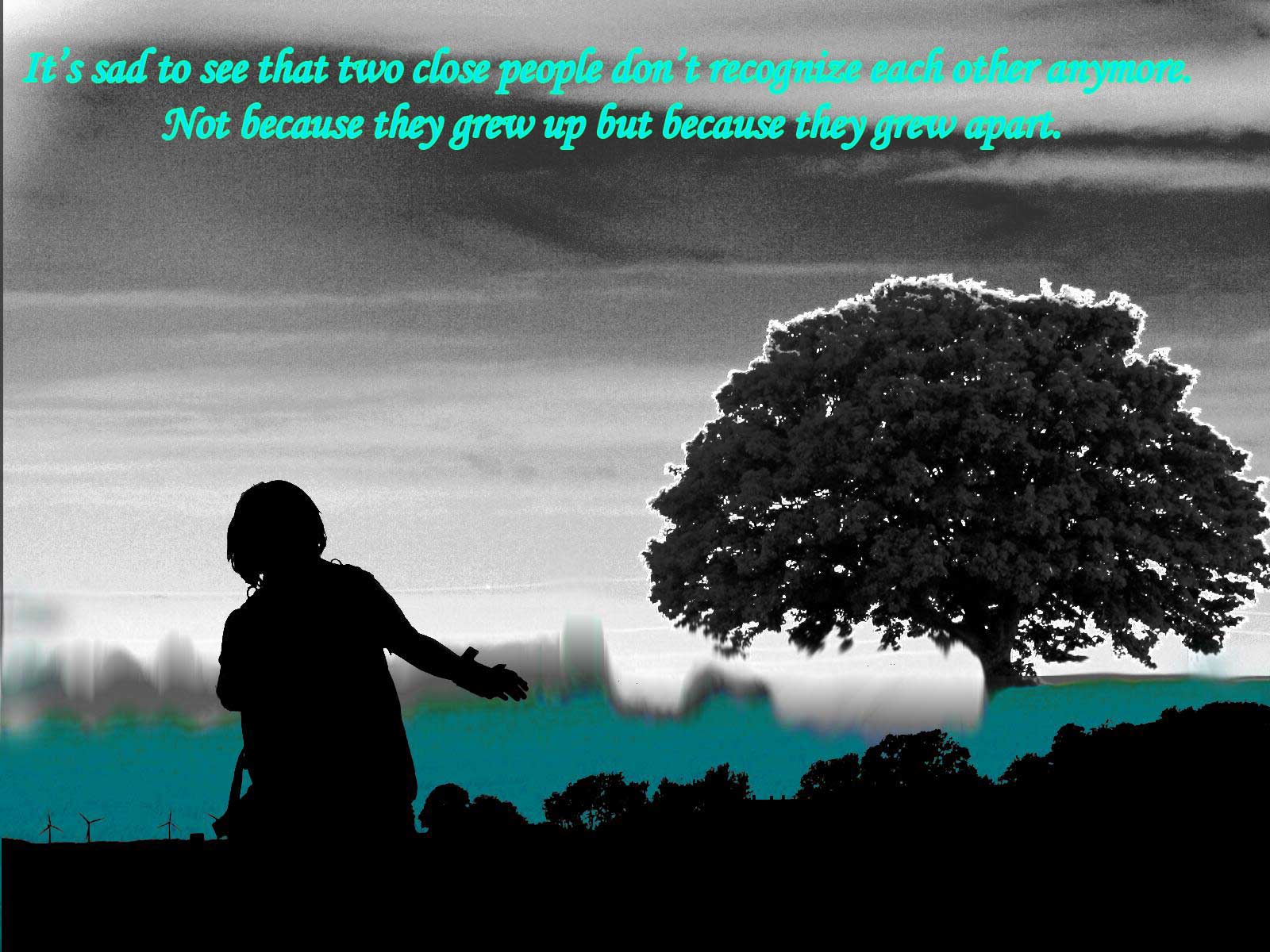 Muhammad Nouman Ali sheroz Awais iqbal Talha Mohsin Riaz: sad quotes