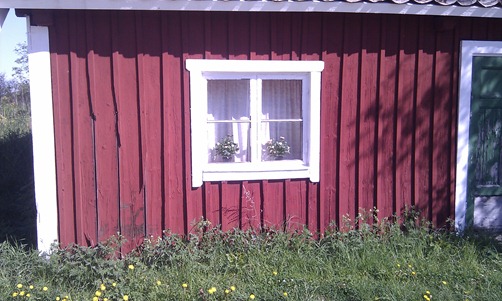 IMAG0100