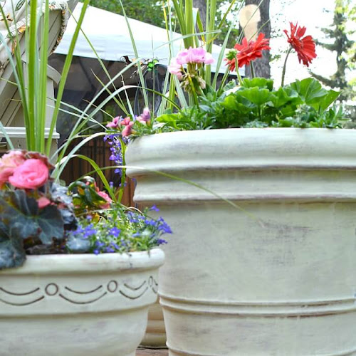 Large Terracotta Pots Get French Country Style