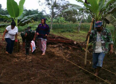 Pergantian Pola Tanam membuat Tanaman bertambah Subur