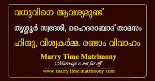 Thrissur Hindu Viswakarma Groom