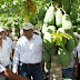 Campo e industria alimentaria crecen a doble dígito en Yucatán