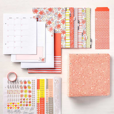 https://www.stampinup.com/ECWeb/product/146859/big-plans-planner-kit?dbwsdemoid=2028928