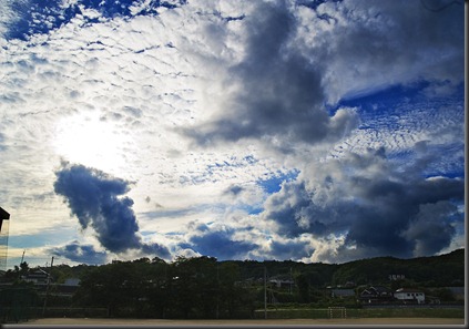 D700_2011-06-11_002_01