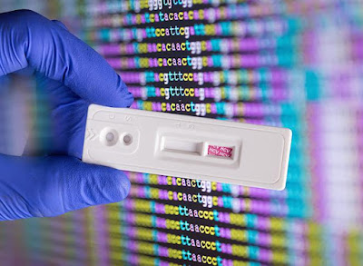 Preimplantation Genetic Diagnosis Market