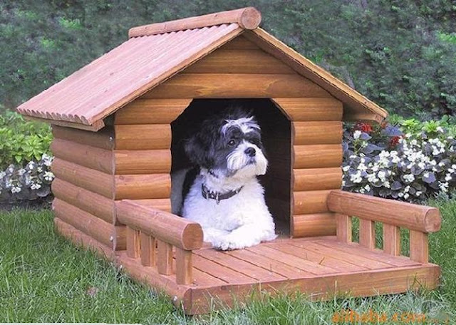 wooden dog kennel plans