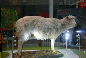 Ντόλι, το πρώτο κλωνοποιηµένο πρόβατο - Βιοηθική και επιστημονική έρευνα 
