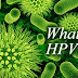 Nhiễm HPV - Nguyên nhân của nhiều loại u & ung thư