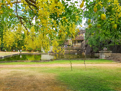 Anuradhapura, Isurumaniya temple