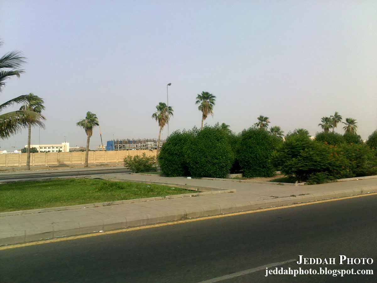 Jeddah Photo Blog: Greenery in Jeddah