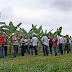 Cultivo de banana é tema de curso em Novo Itacolomi