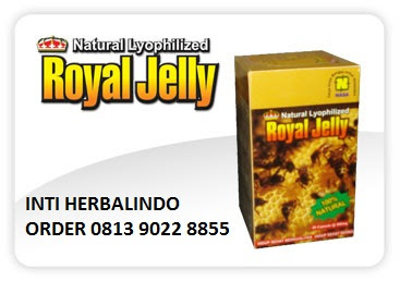 "natural-royal-jelly-produk-kesehatan-natural-nusantara-nasa-herbal-alami-penyembuhan-stroke-diabetes-hipertensi-jantung-peredaran-darah-imunitas-tubuh-kekebalan-vitalitas-seksual"