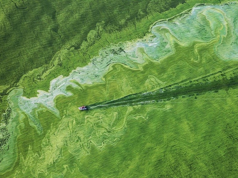 lake-erie-algae-6