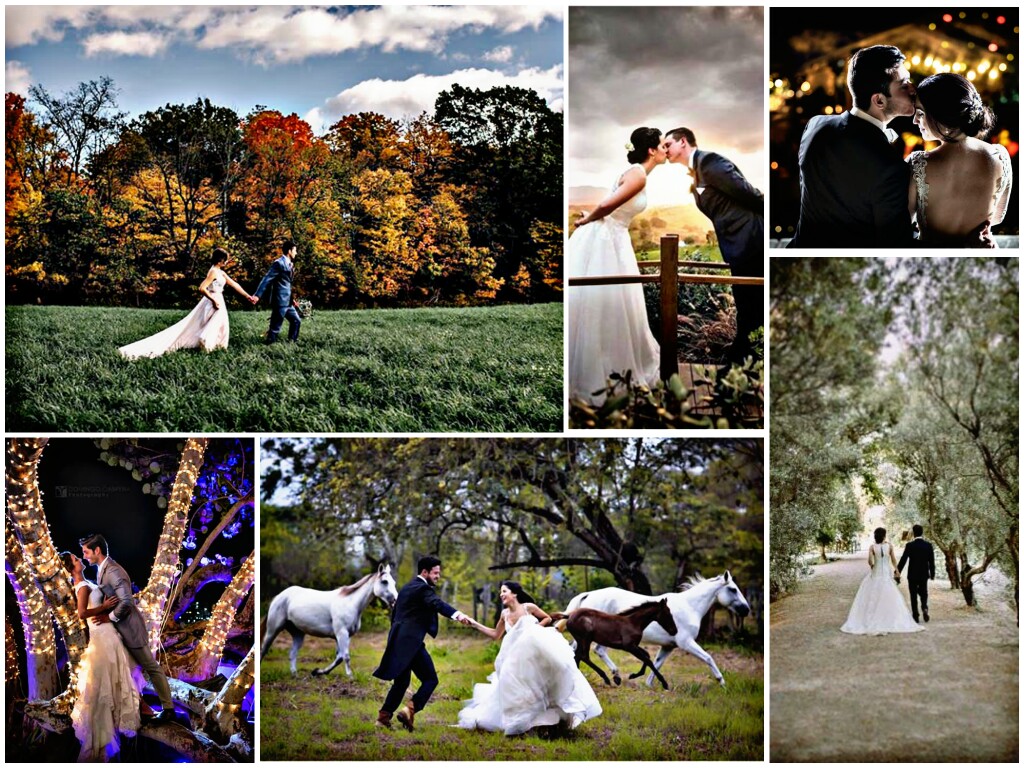 Trash the dress