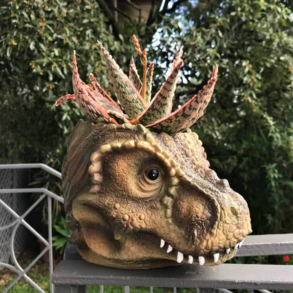 dinosaur head planter containing succulent