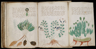 Misteri Manuscript Voynich, yang Belum Terpecahkan Sampai Sekarang