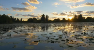 okefenokee swamp