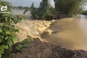 Tanggul Jebol, Puluhan Rumah dan Ratusan Hektar Tambak di Lamongan Tergenang Banjir