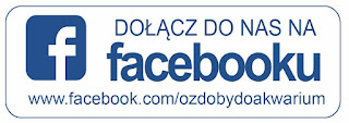 https://www.facebook.com/ozdobydoakwarium/