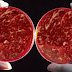Lab-grown meat could soon be on sale by end of 2018