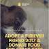 Didi The Cat Charity | Lets Donate Food For Stray Cats