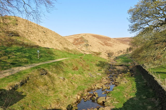 A path on the left follows the course of the right-hand fork in the stream. There is a fold in the moorland to the left, Willyhay Clough.