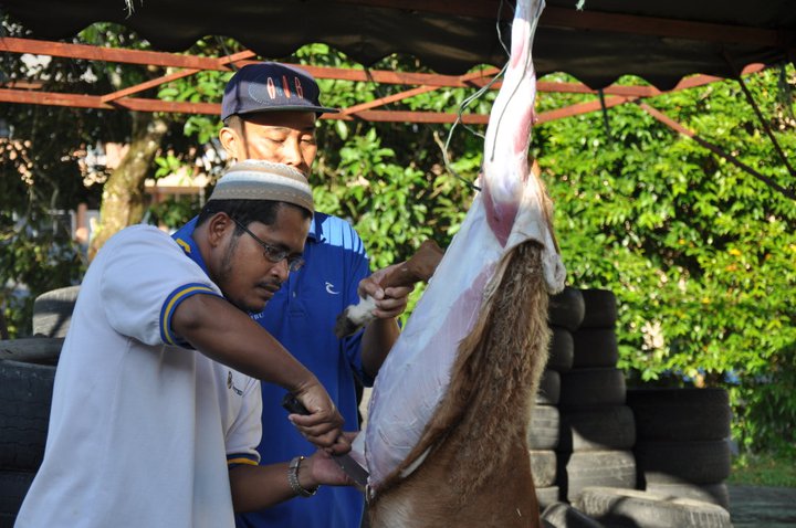 Isa Daud Al Maranji: Soalan Berkaitan Dengan Talak Bain 