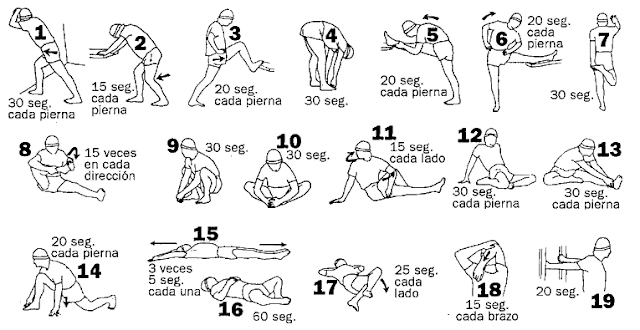 ¿Por qué debemos hacer estiramientos antes y después del entrenamiento físico?-SitioFitness