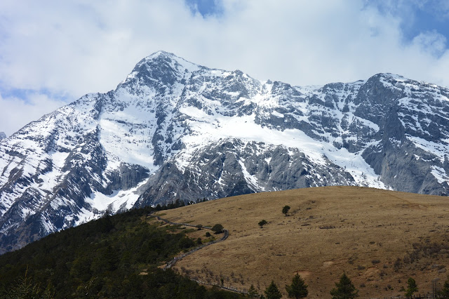 Plaine des yaks au mont enneigé du dragon de jade