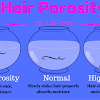Hair Porosity Quiz
