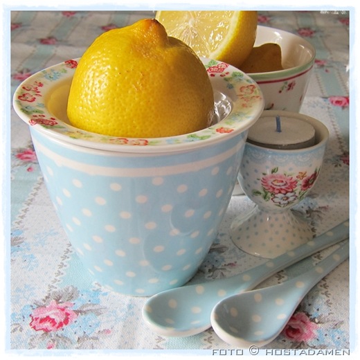 Citrus_IvySpotBlue
