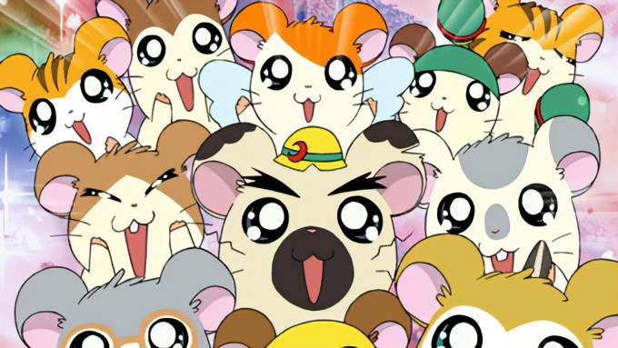 Hamtaro