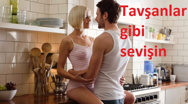 Tavşanlar gibi sevişin