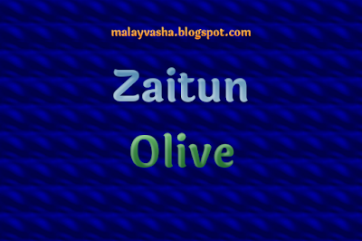 Zaitun - জলপাই