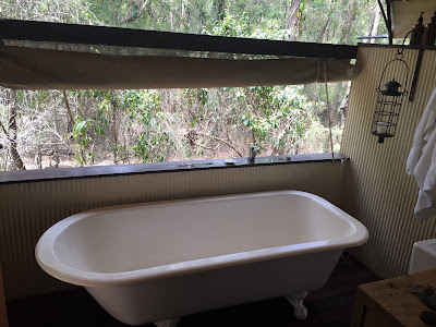 Paperbark Camp Sydney Glamping