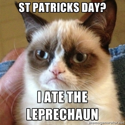 Saint Patricks day 2017 leprachaun memes