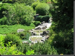 171109 041 Cowra Japanese Gardens