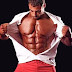 Build Muscle - Know Your Muscular tissues - The Reduce Physique