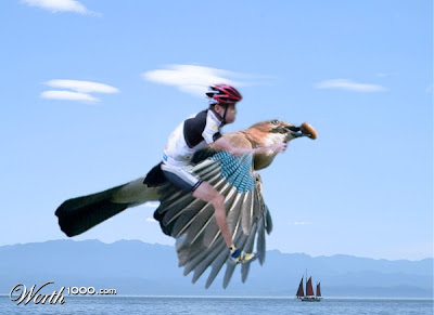 photoshop transportation