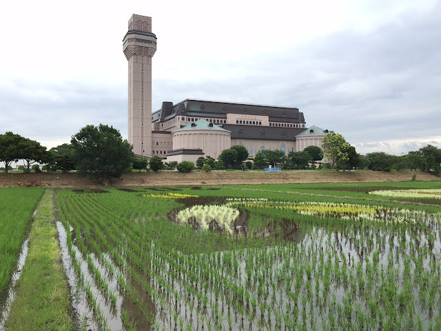 こしがや田んぼアート2015食戟のソーマ（6/21）