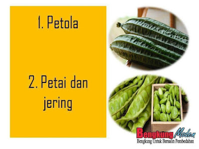 Sayur-Sayuran Yang Perlu Dielakkan Semasa Dalam Pantang 100 Hari, sayuran yang tak boleh makan ketika dalam pantang, sayur yang perlu di pantang selepas bersalin, sayur, makanan yang perlu di pantang selepas bersalin, bersalin, pantang bersalin,