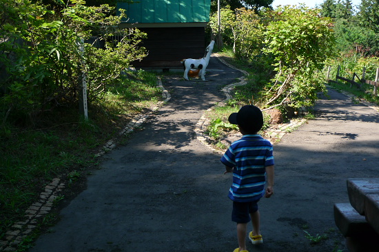P1130575.jpg