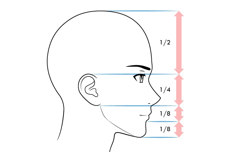 Tampak samping proporsi wajah pria anime