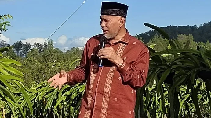 Gubernur Turunkan OPD Dukung Perkebunan Buah Naga di Nagari Kacang