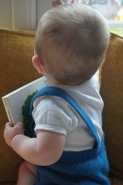 baby looking out of a window and holding a book