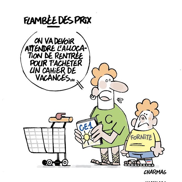 Pouvoir d'Achat vs Allocation scolaire