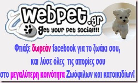 asdfgh