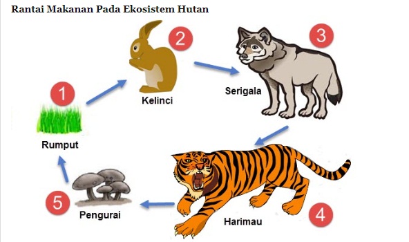 tema 5 kelas 5 subtema 2 pembelajaran 1