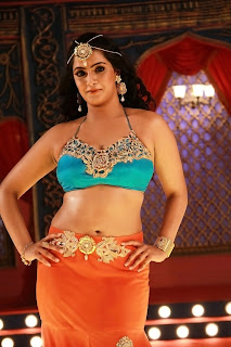 Varalakshmi Sarathkumar Hot Sexy Photos Saree Navel Cleavage - Celebs Hot World CHWxyz