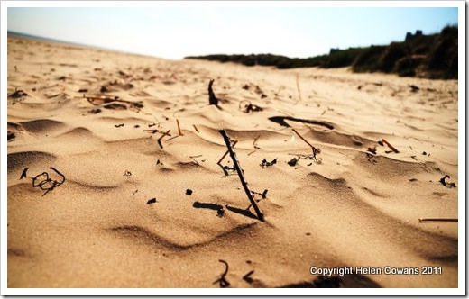 Bamburgh3